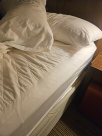 No fitted bed sheets, only a mattress protector