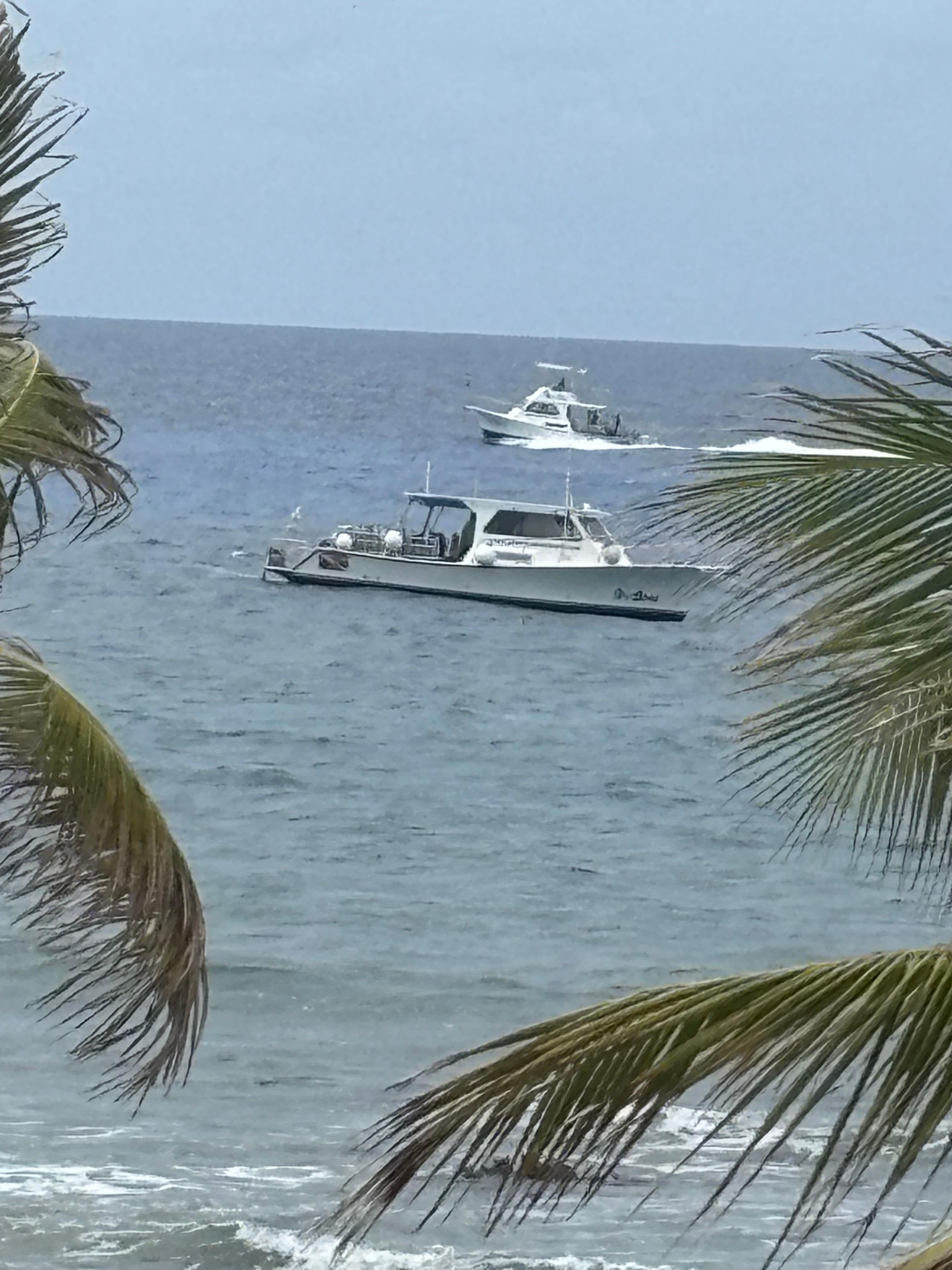 The dive boat my husband and son were on, just off the shore of our place. 