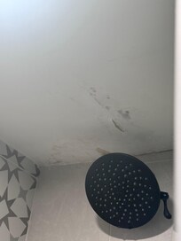 Moldy ceiling in shower