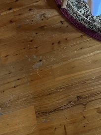 Floors scraped up throughout the house