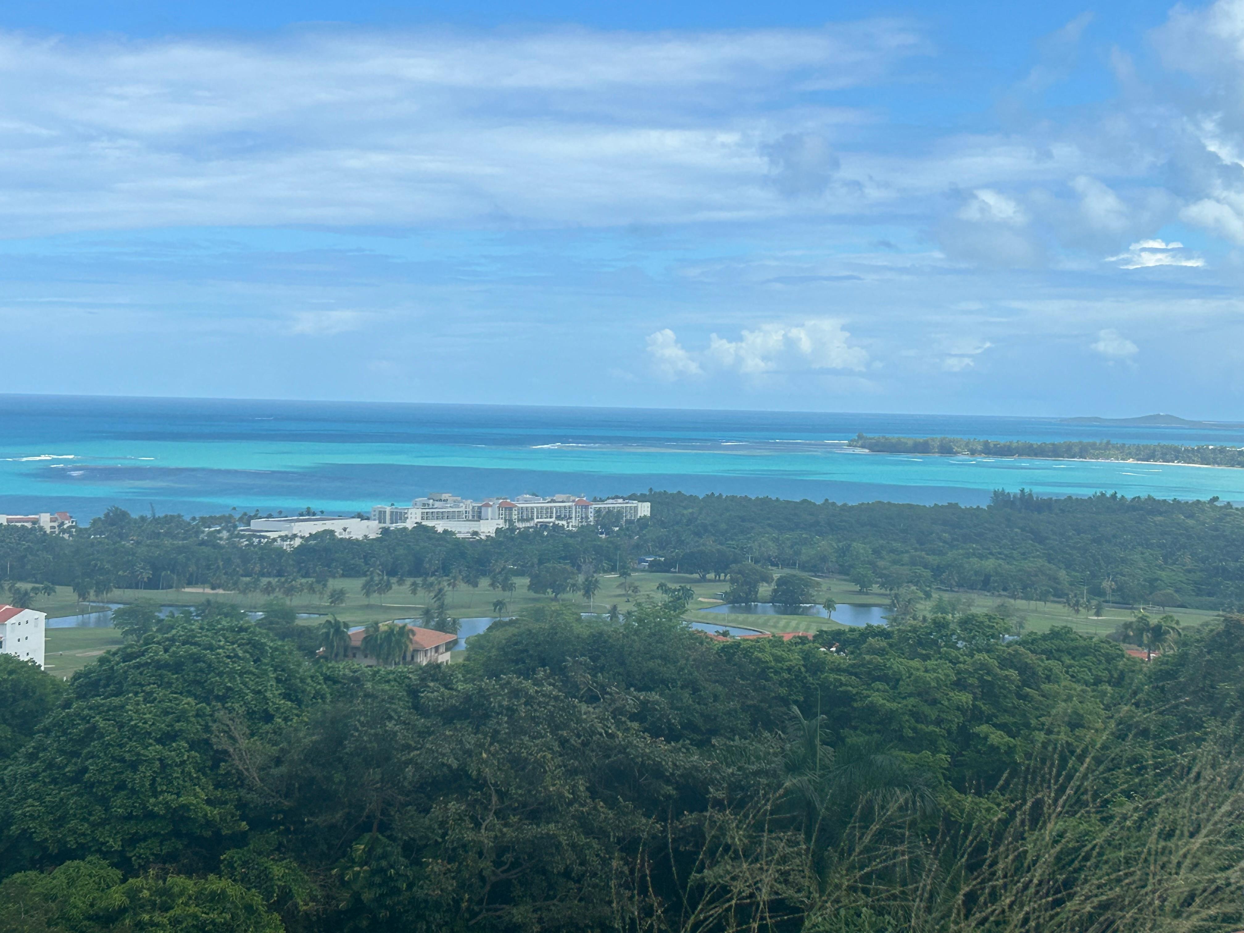 View from rainforest 