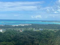 View from rainforest