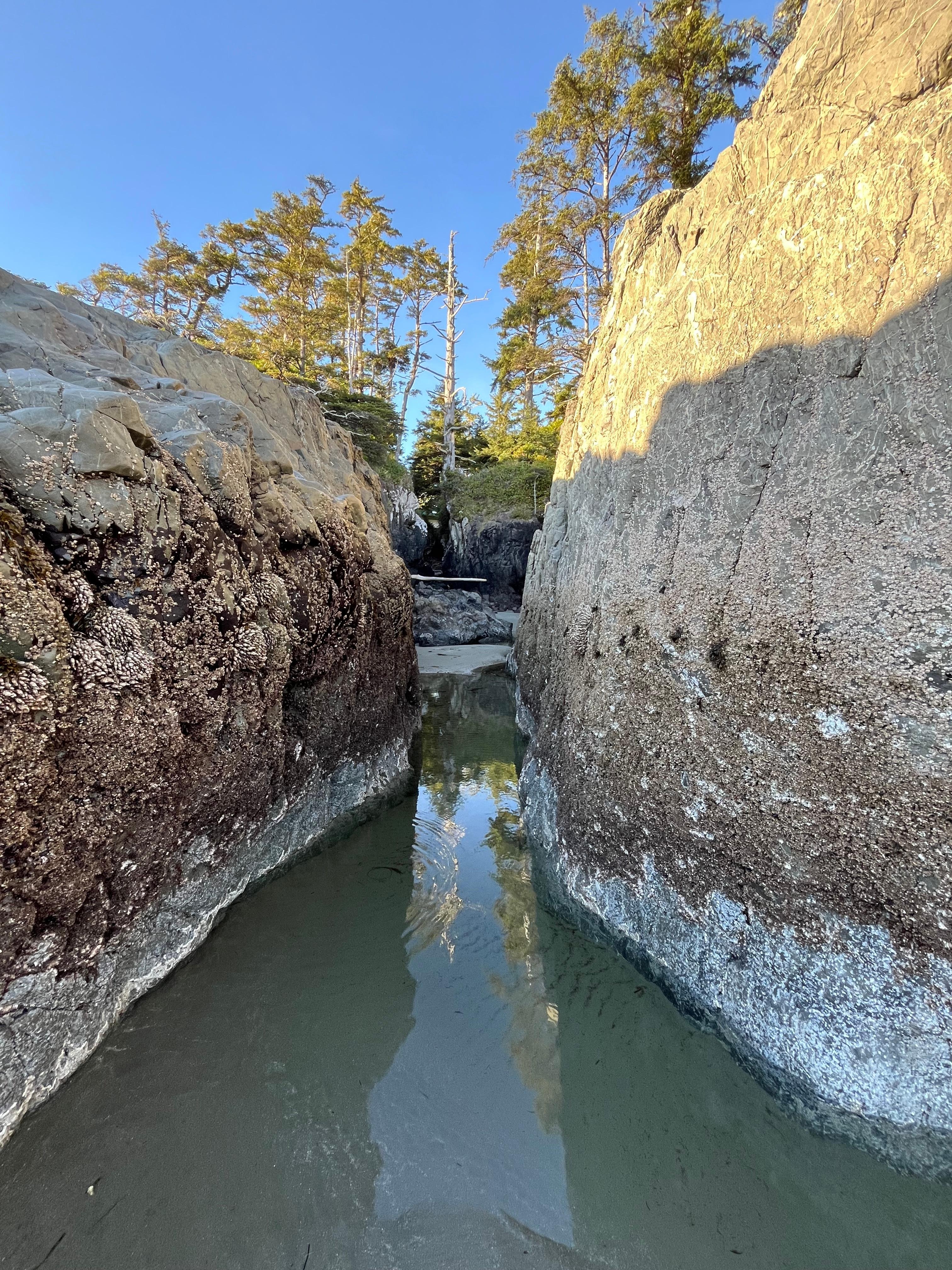 Around the corner.
Chesterman