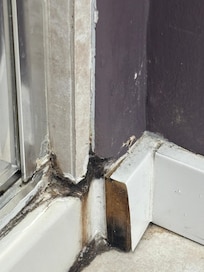 Mold around shower