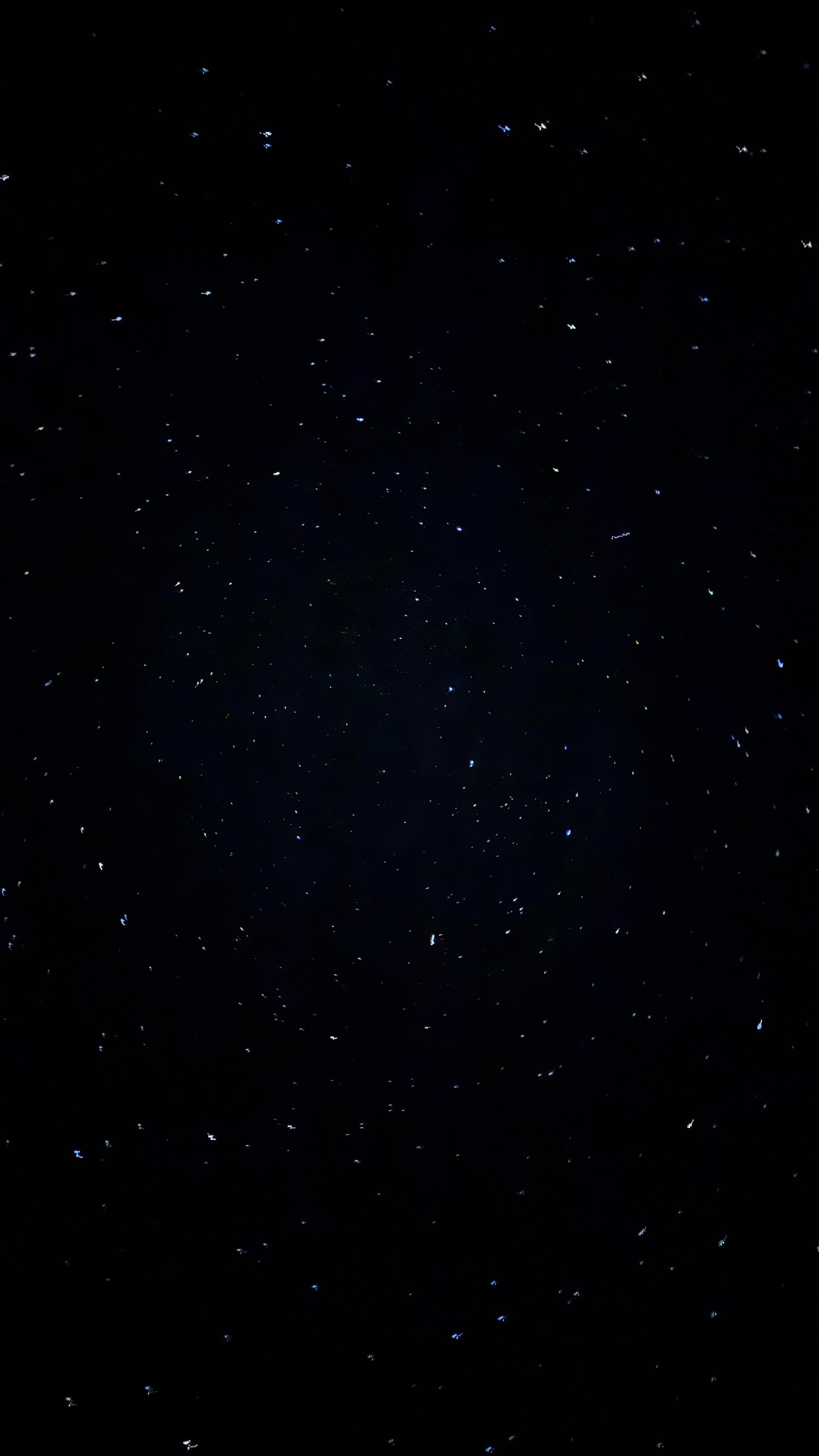 Stars in the hot tub 
