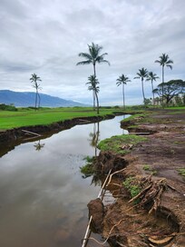 More damage caused by the flood.