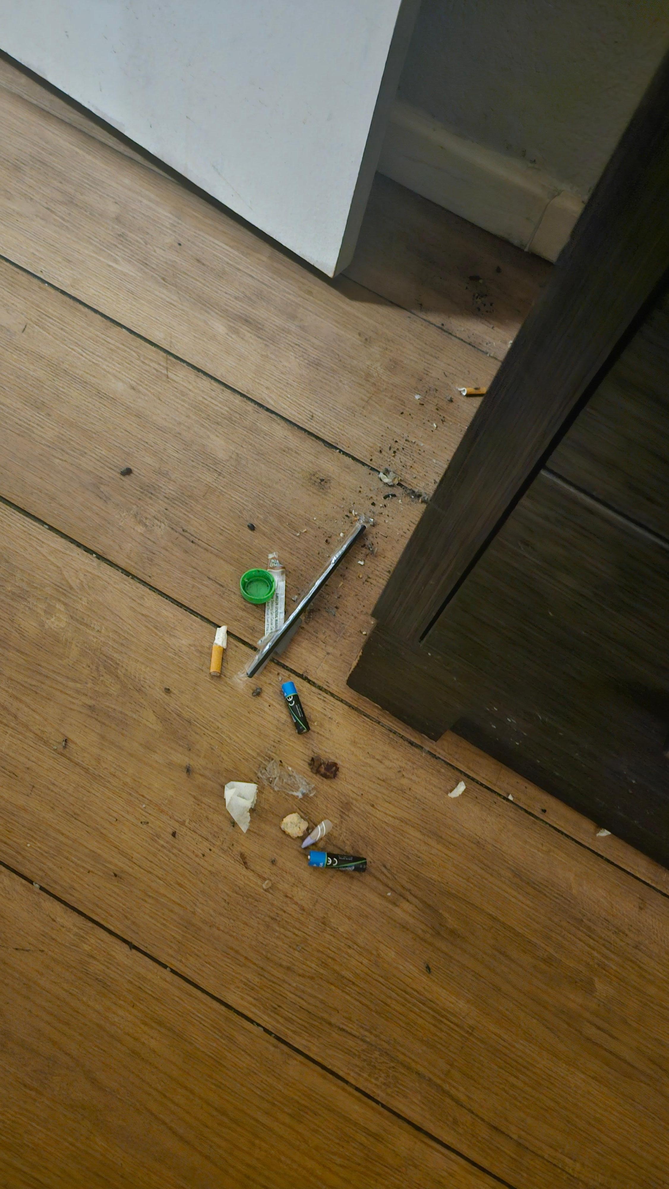 This was only one small area. I couldn't catch the scattering roaches. I wish I would have taken pictures of the urine in the toilet and crap splatters. 