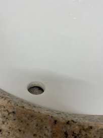 Mold in sink