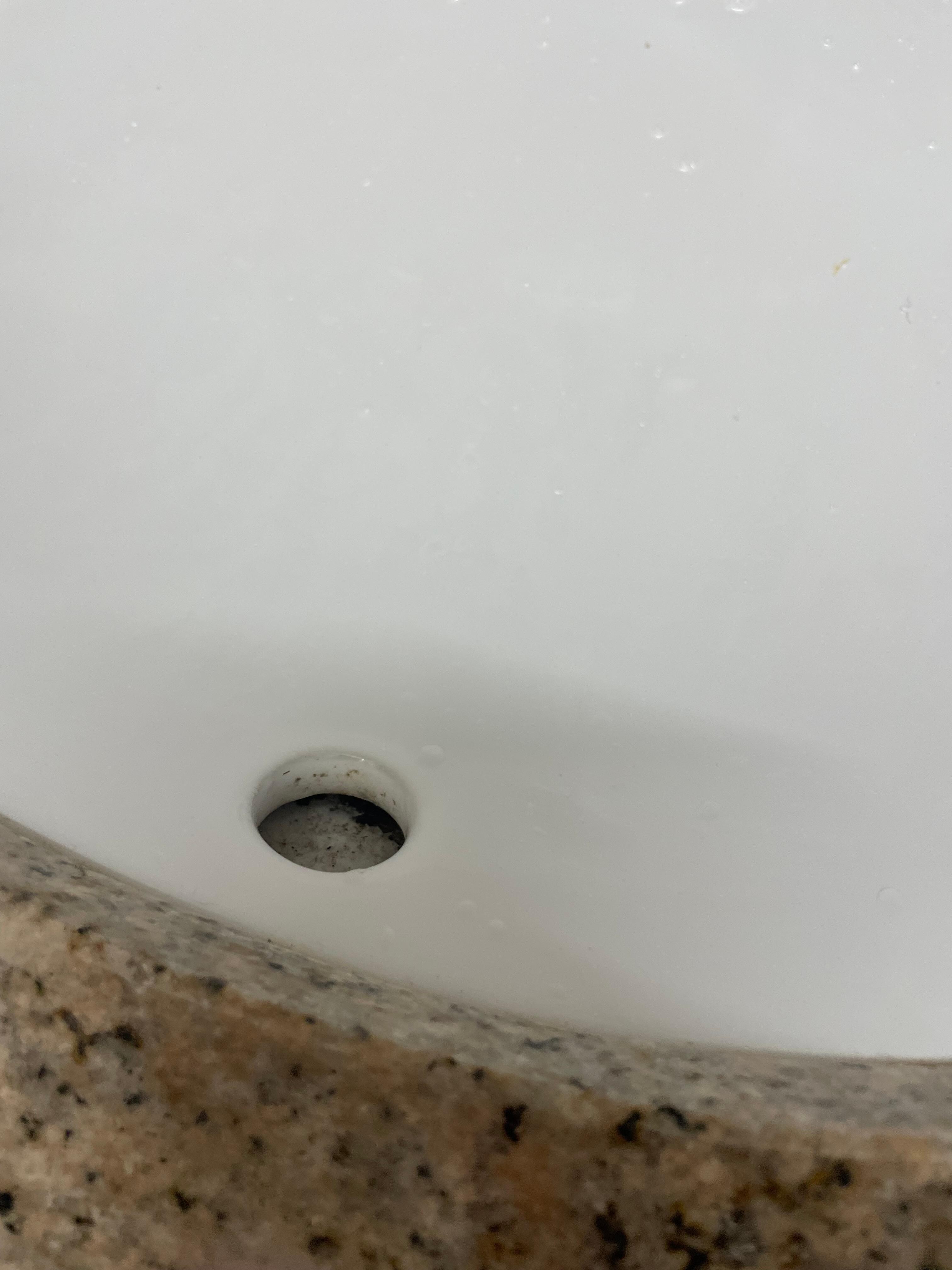 Mold in sink