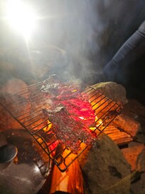 Firepit: each wood cost $1