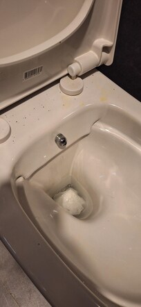 This is how we found the toilet immediately after it had supposedly been cleaned