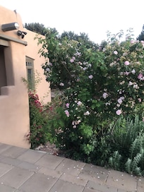 Lovely landscaping side of house