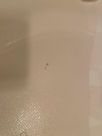 Jetted tub