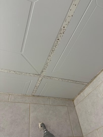 Mold on ceiling