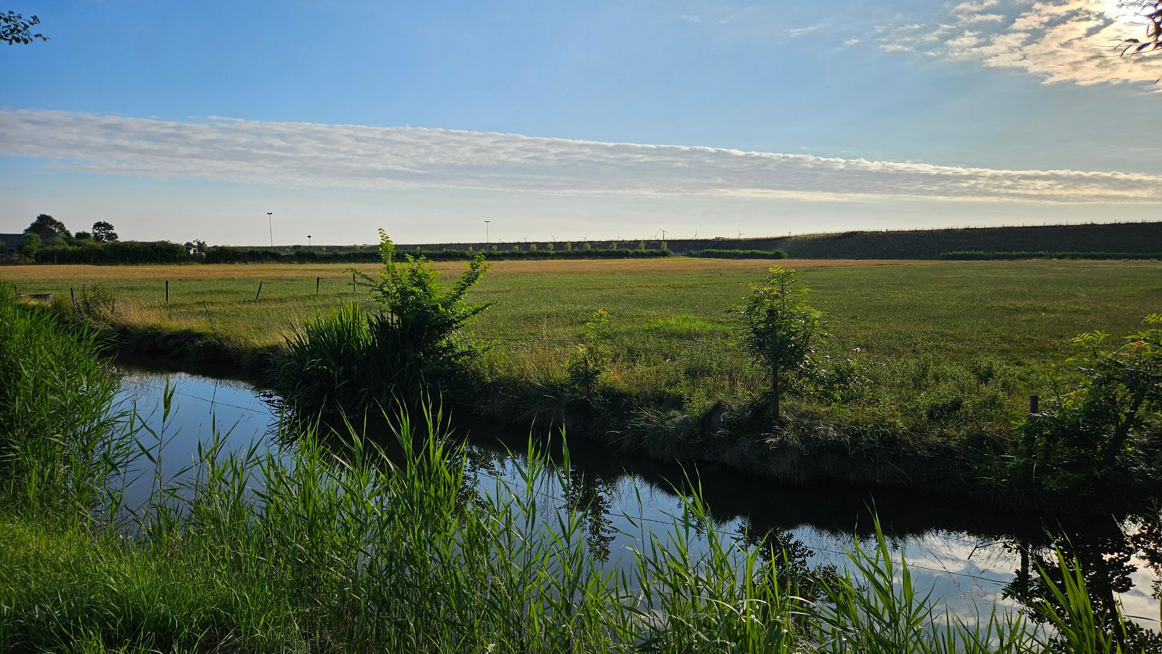 Landschaft