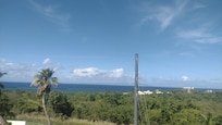 View from my balcony