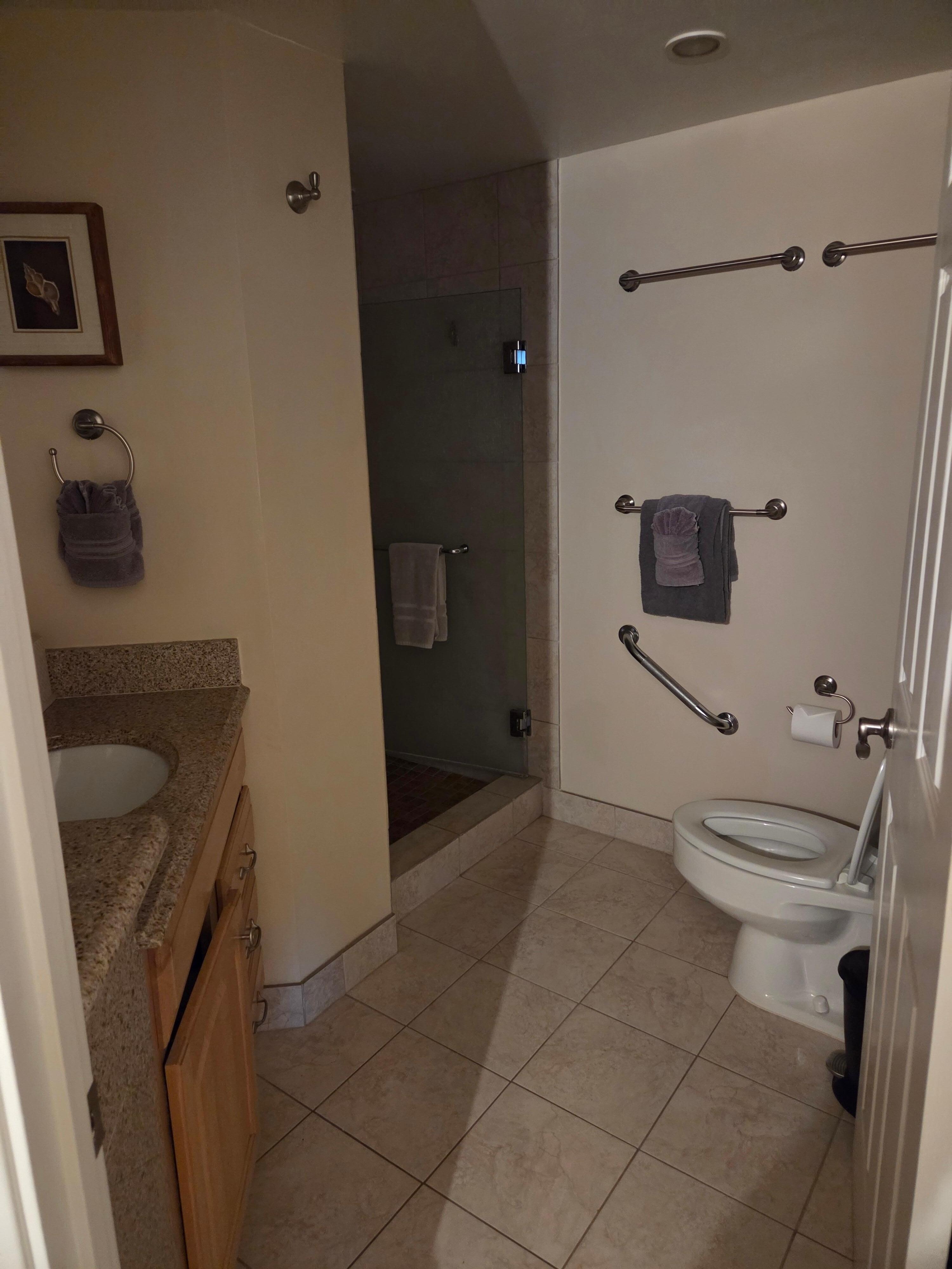 Master Bathroom with walk in rainfall shower