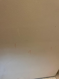 Bathroom door