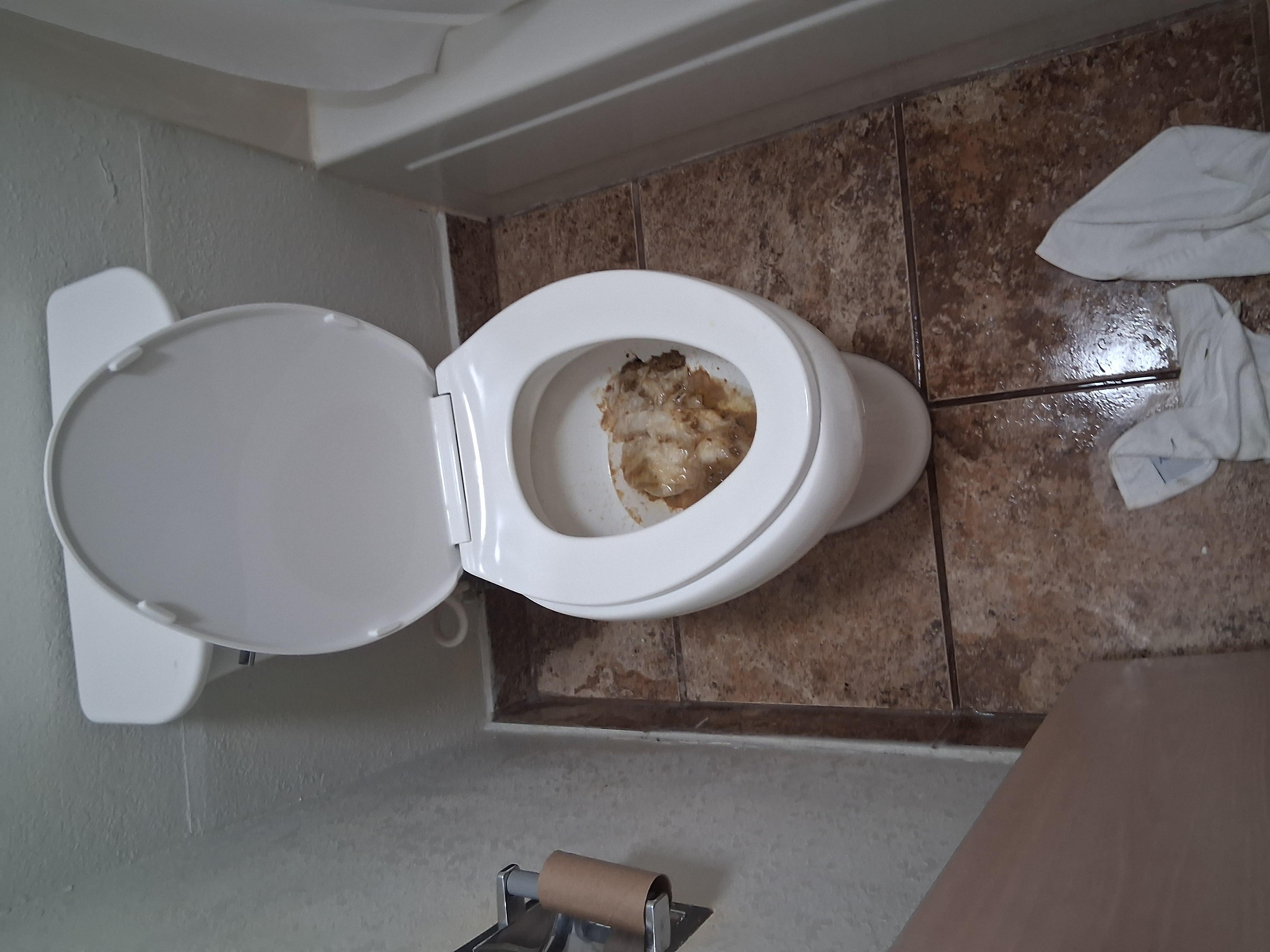 Clogged toilet 