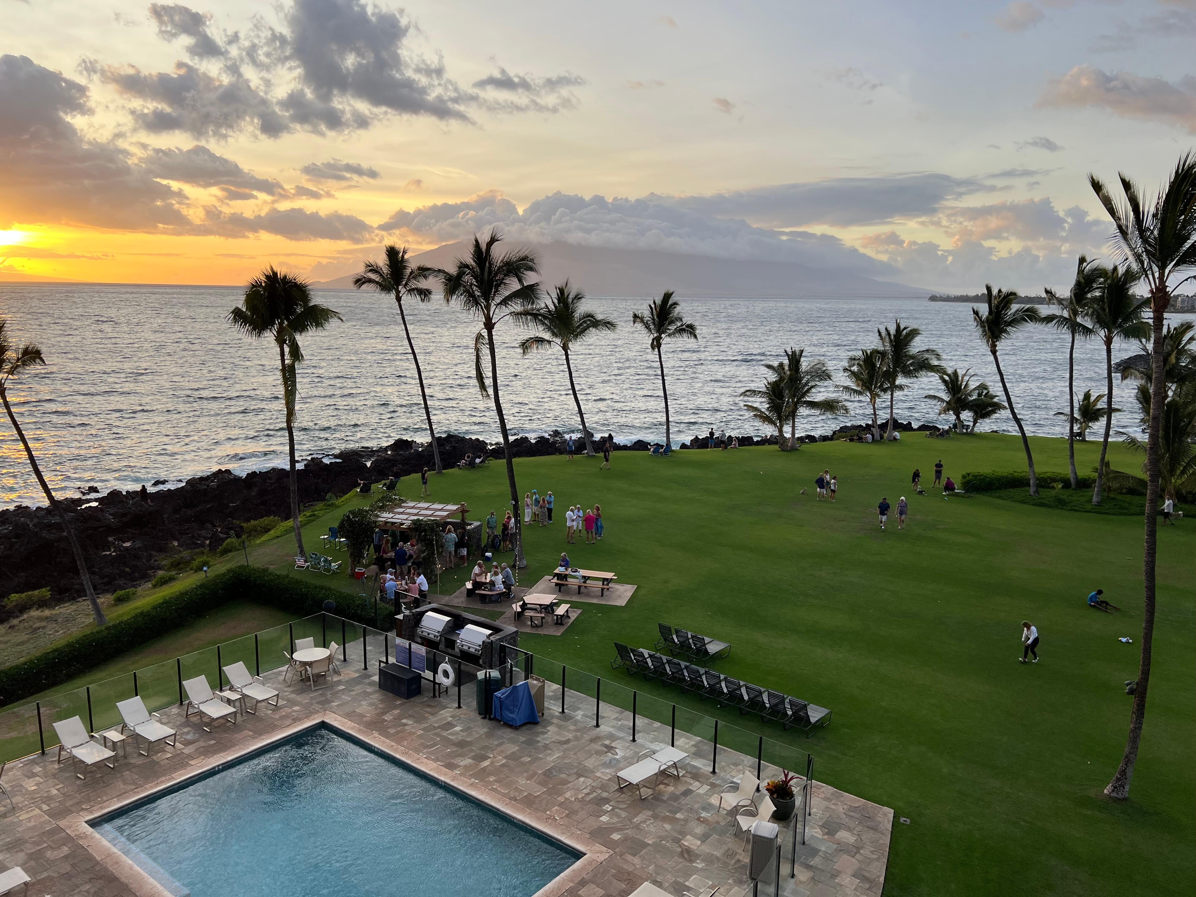 View from the patio