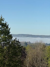 Morning views