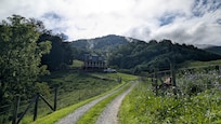 View of the cabin from from feeding the donkeys.