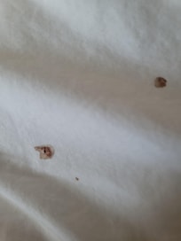 There was 2 drops of blood on my comforter I took that off the bed completely then checked the rest of the linens