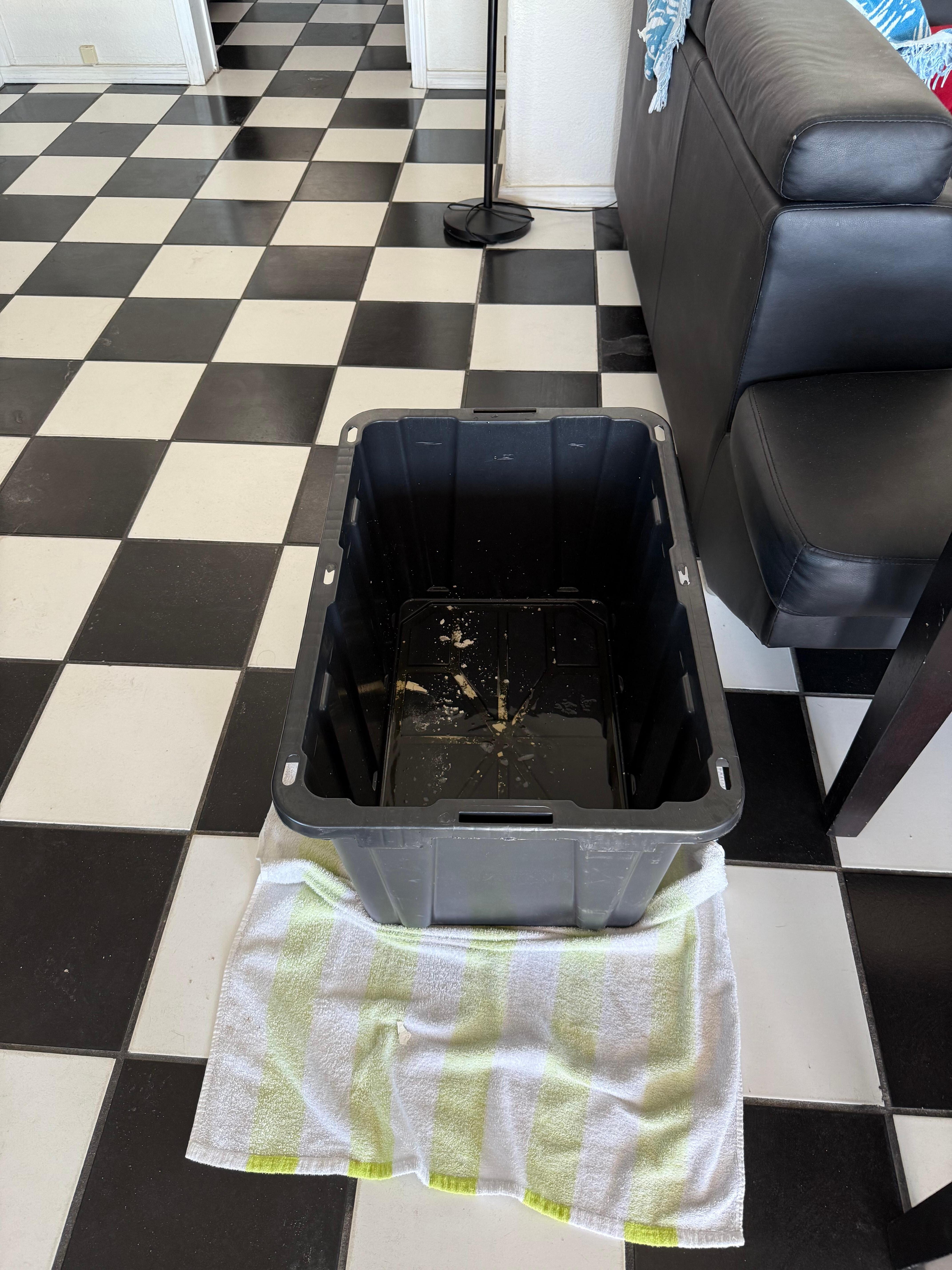 The FIx. Our tote to catch 