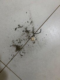 Dirt from the bathroom and bedroom floor
