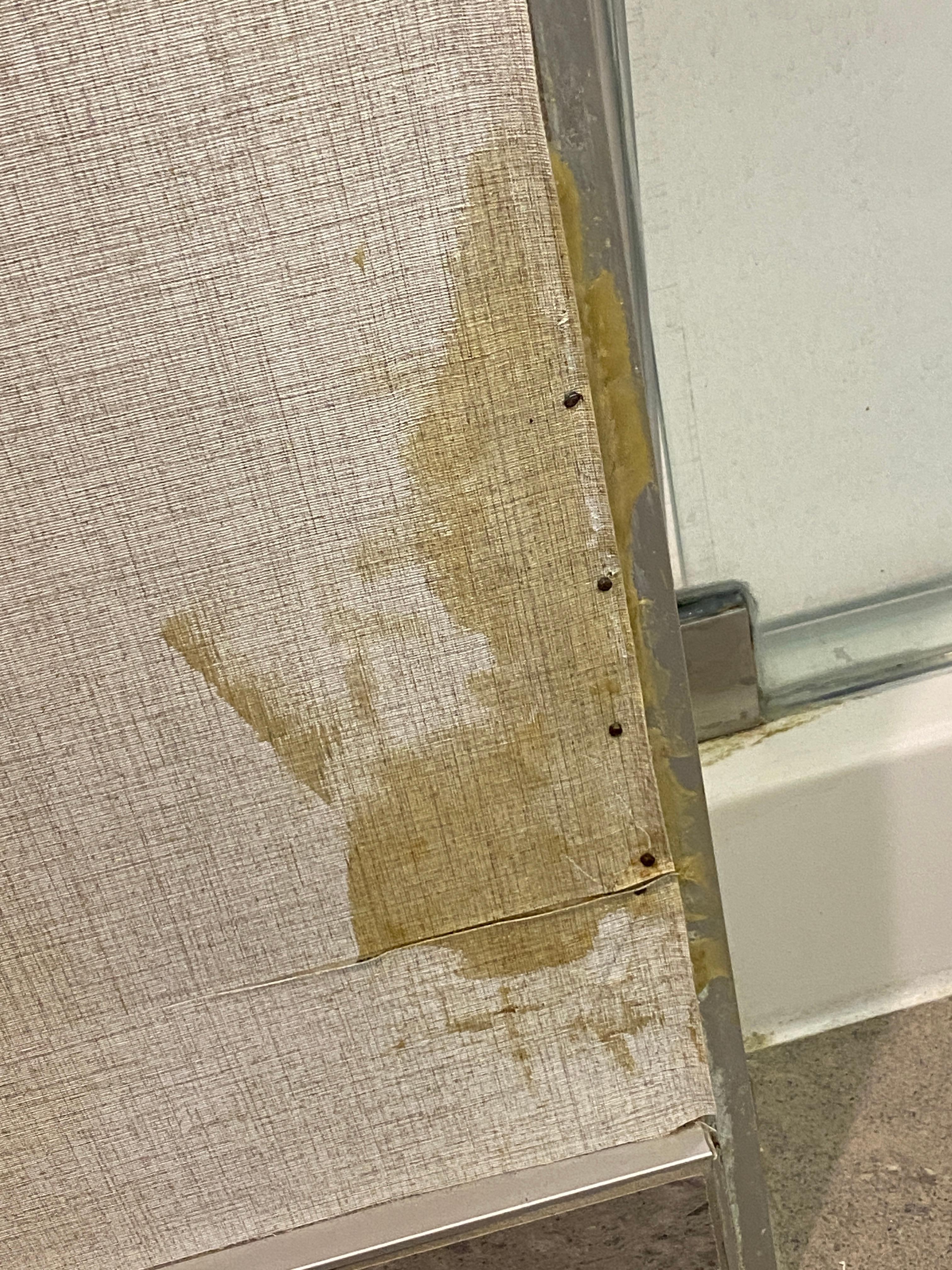 Gross wall paper glue?