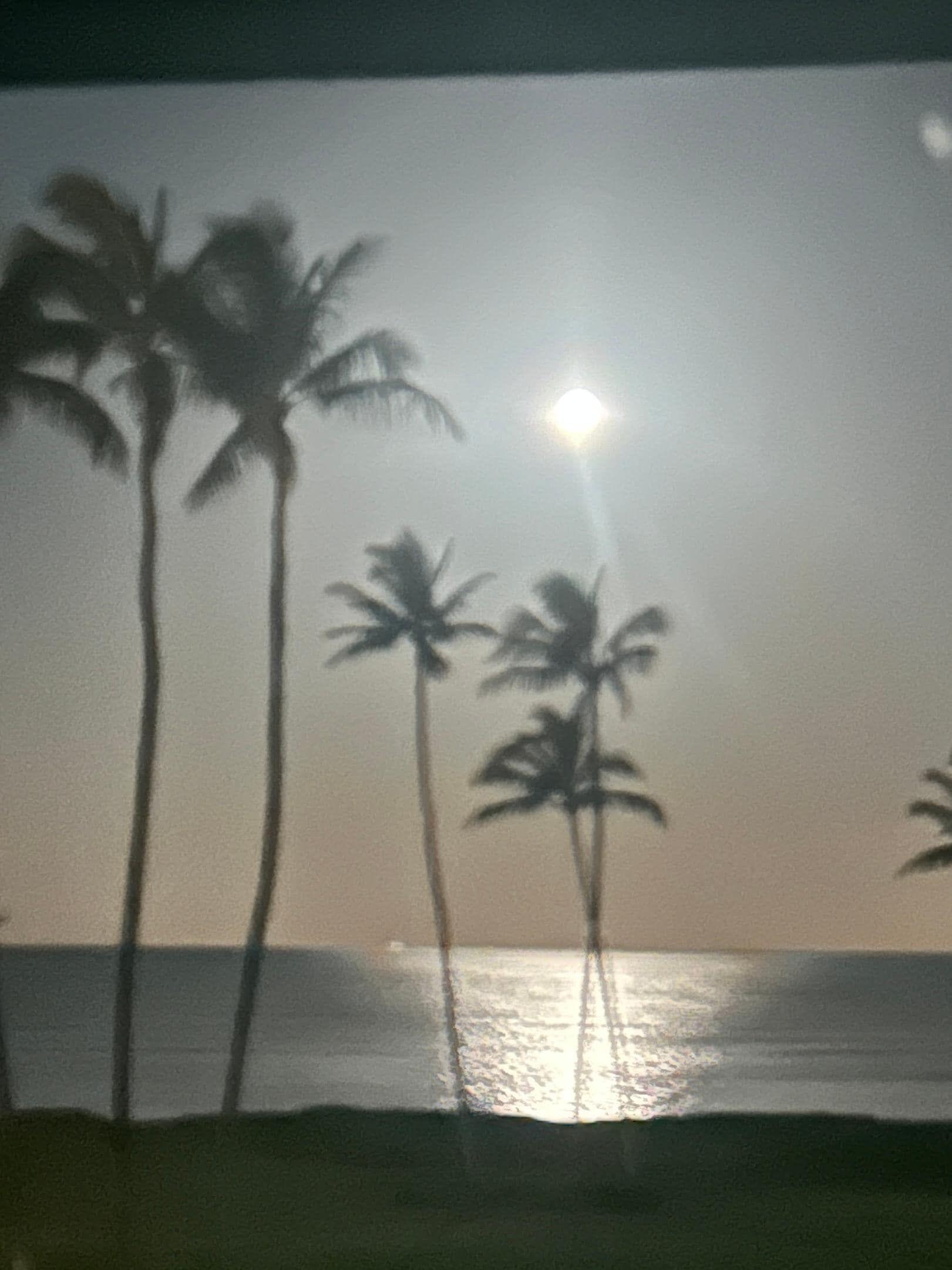 Moonlight from the lanai
