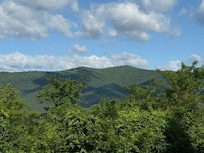 A nice clear view from the deck.