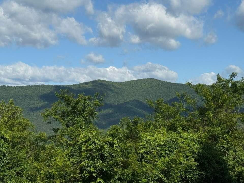 A nice clear view from the deck.