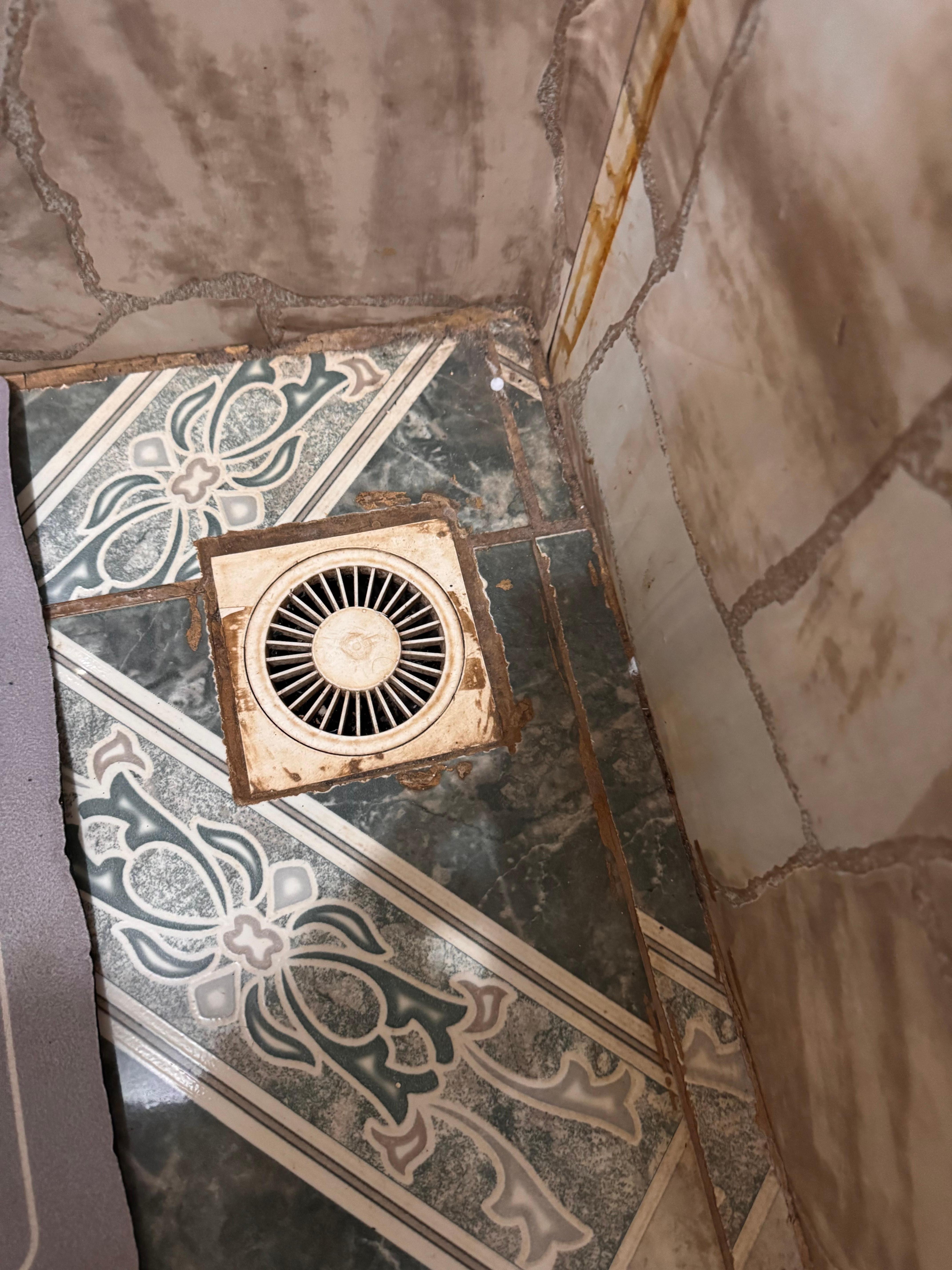  Filth all over the place