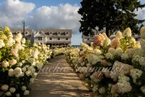 Walkway from the office.