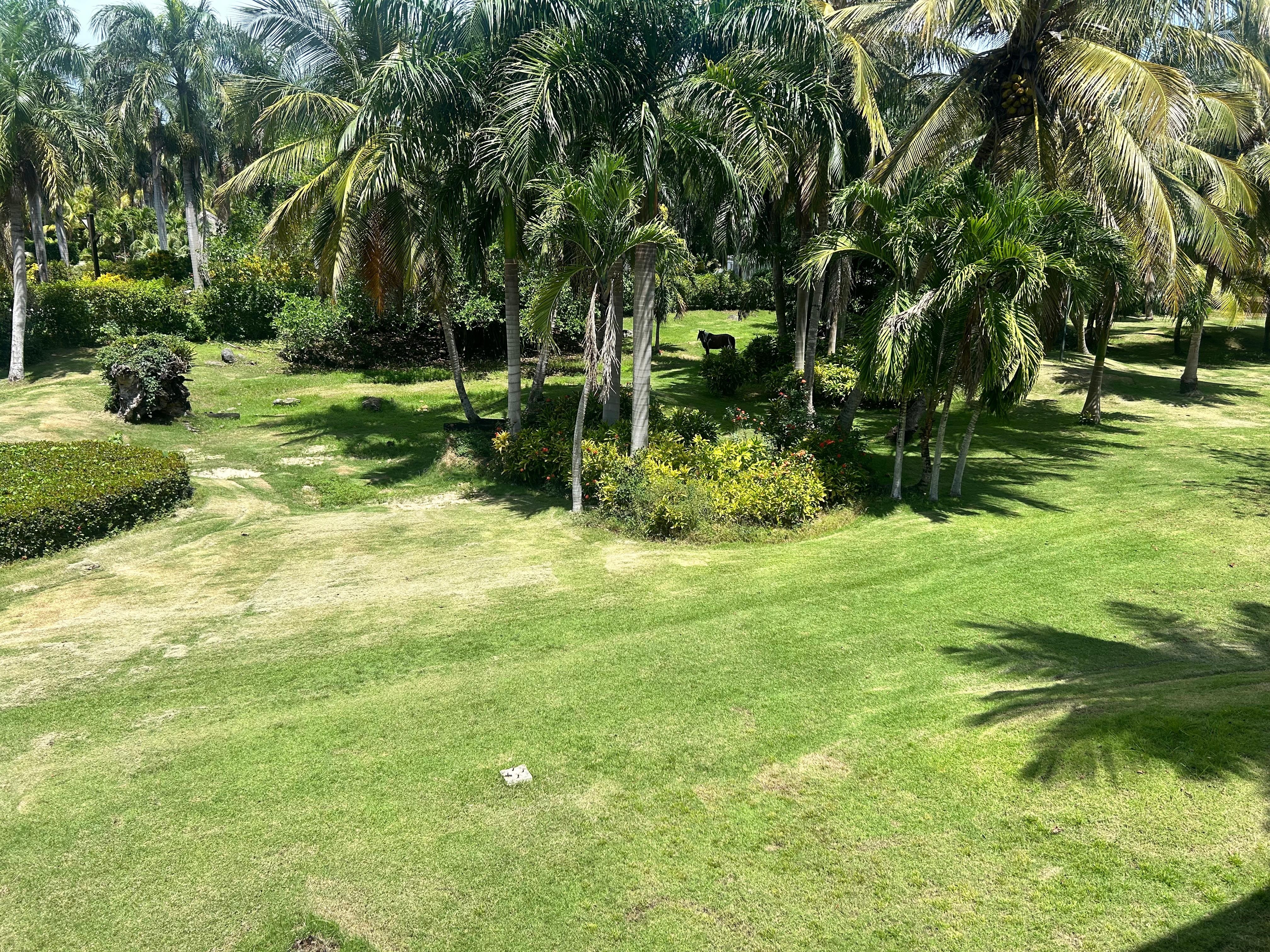 Bldg 49 level master suite