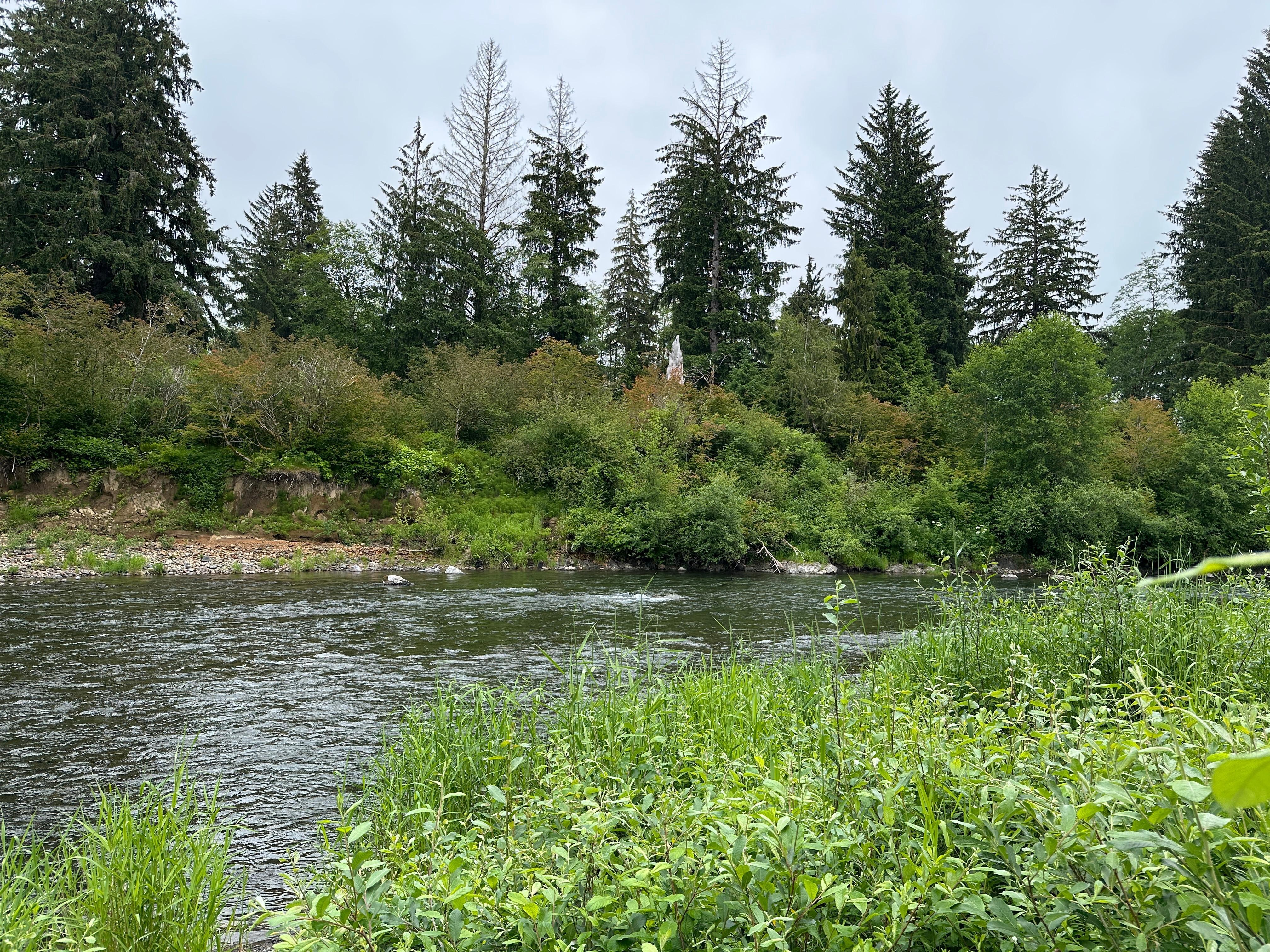 Sol Duc River from jus behind cabin