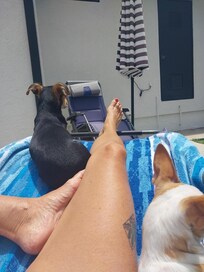 More sun bathing
Golden tan success