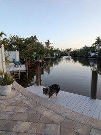 Our pup on the dick at dusk