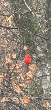 All of our Angels were with us!