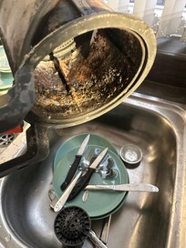 Can you imagine eating from dishes washed with these filters? We did for 2 days.