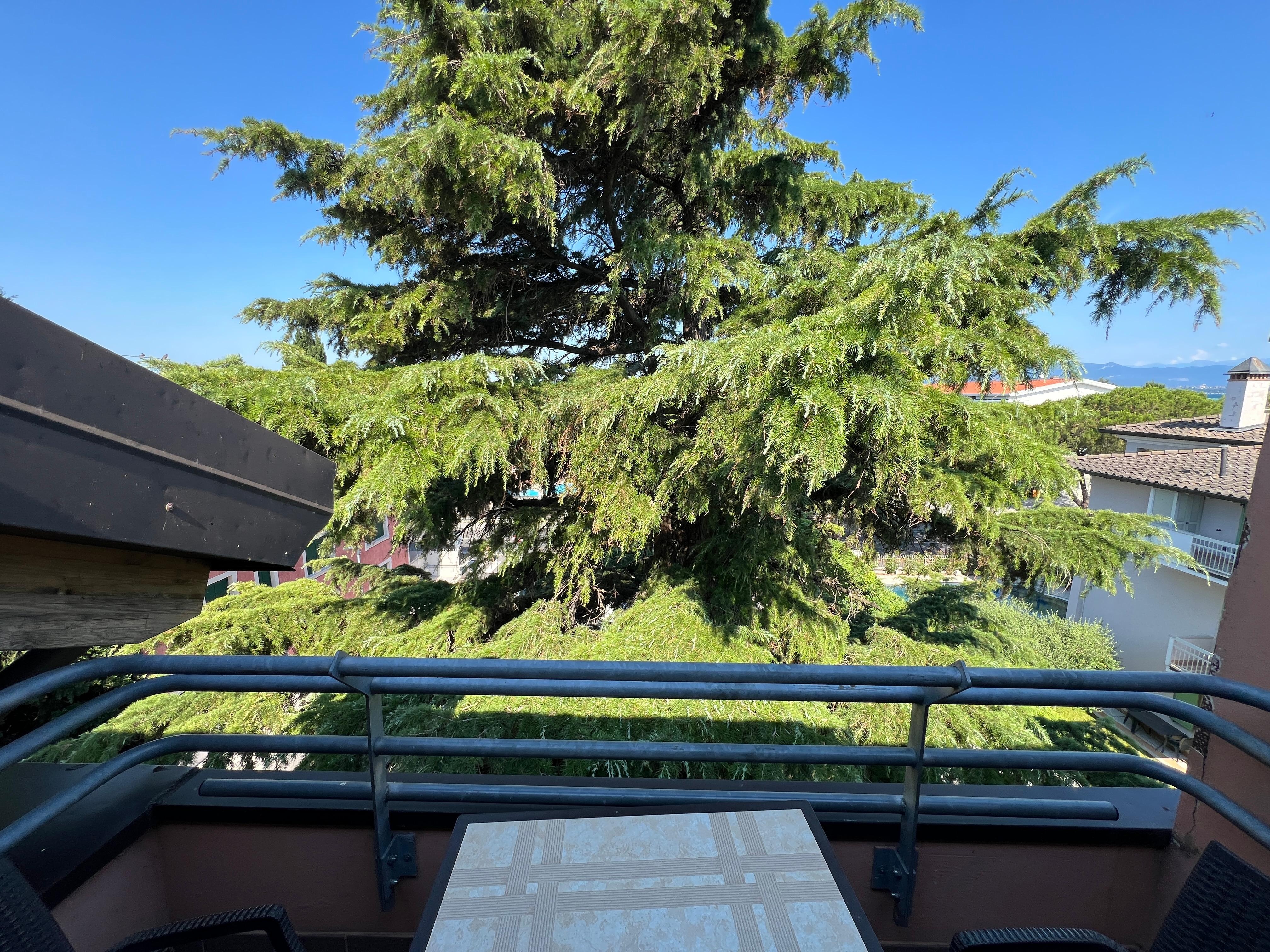 No partial view rooms in this hotel!