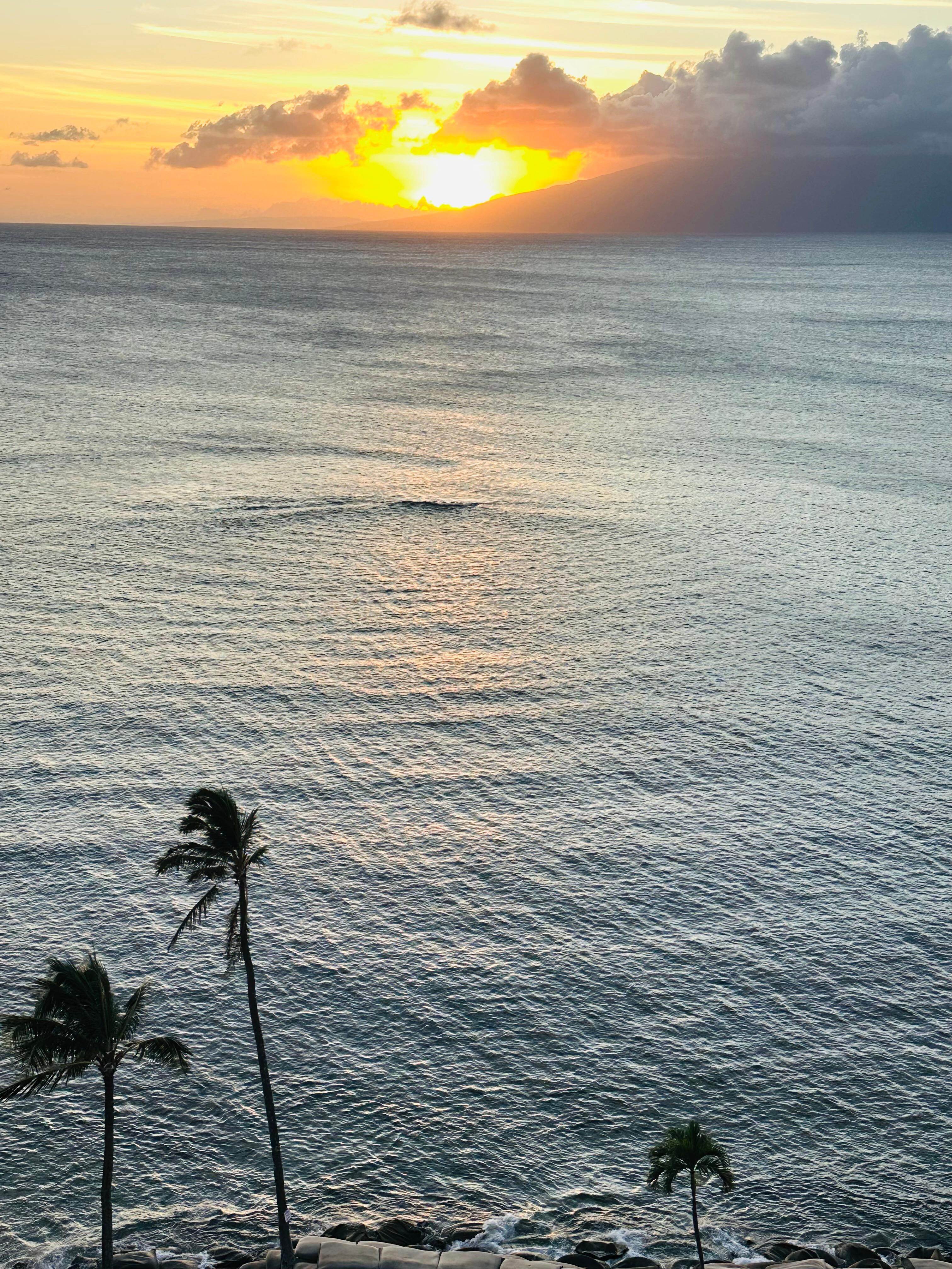 Beautiful sunsets 