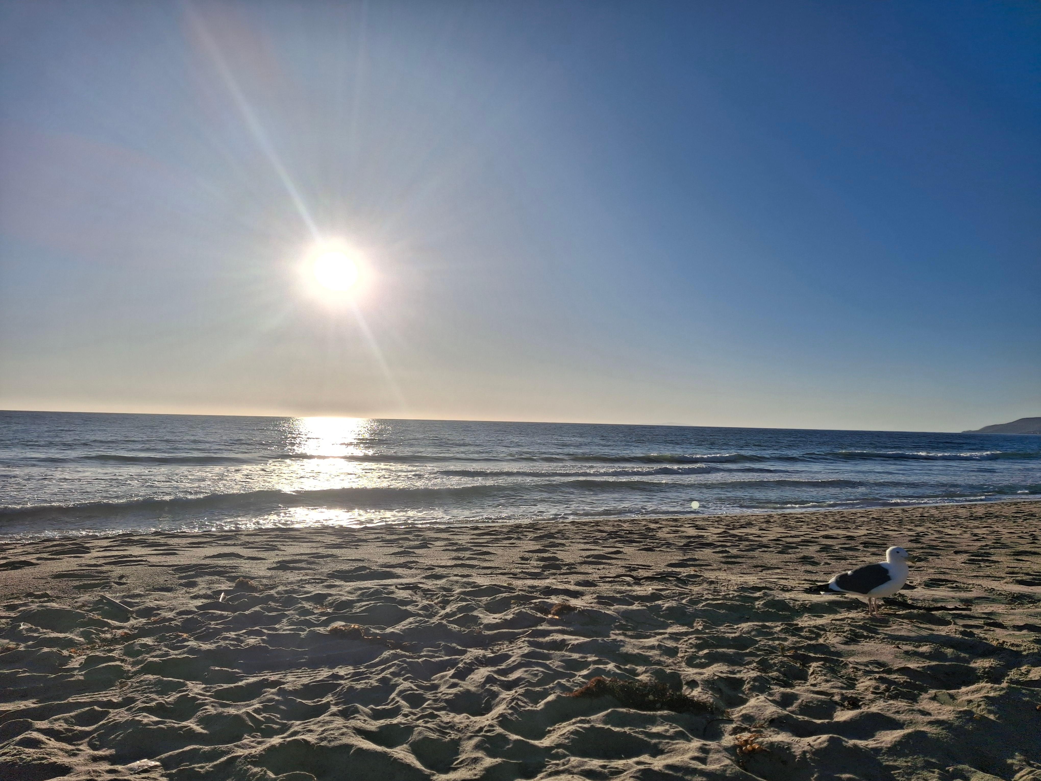 Beautiful sunsets just a walk away!