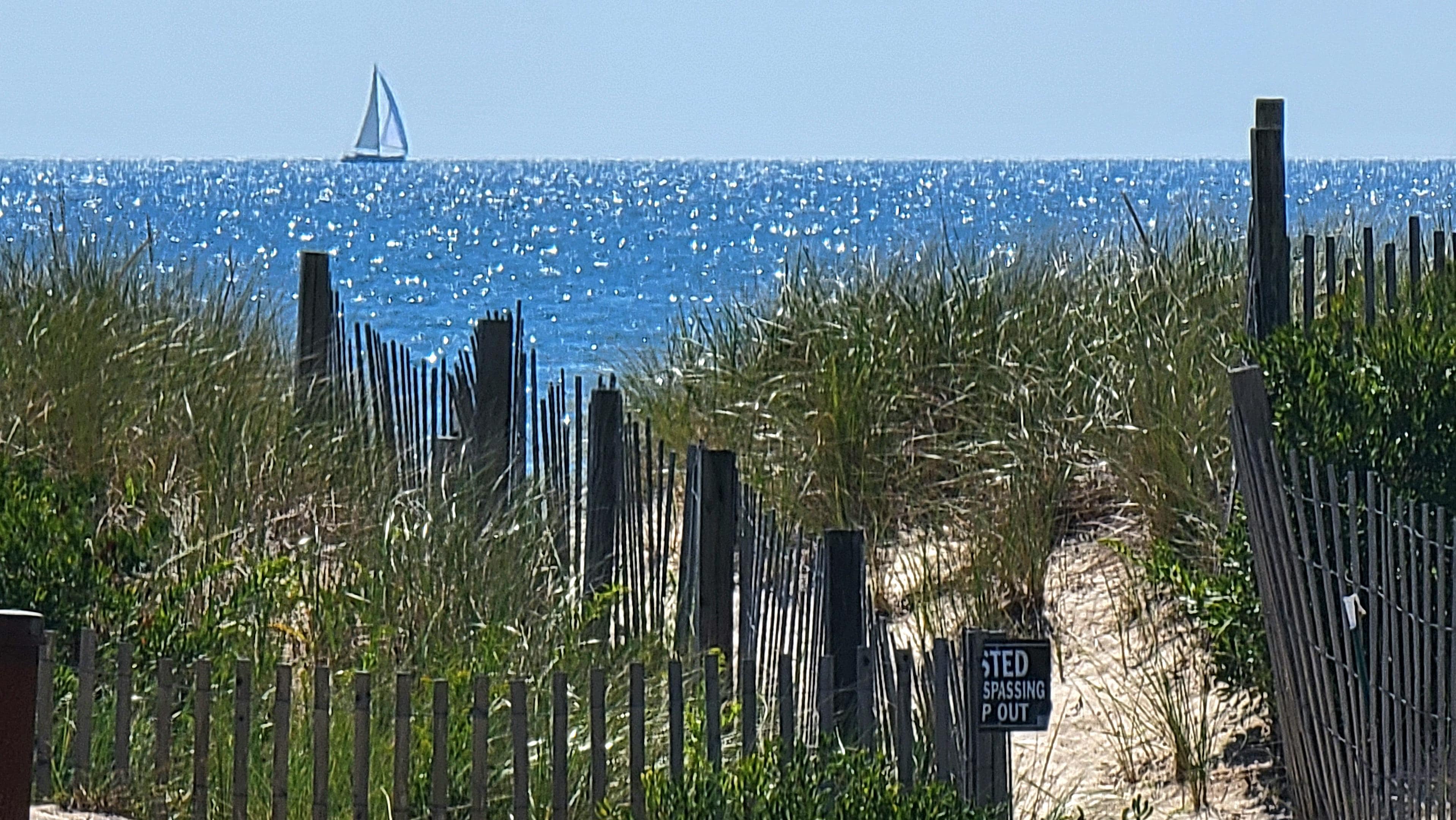 from the front deck