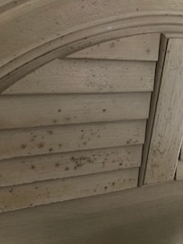 Mold on headboard