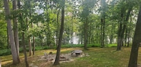 Wonderful view out back door to fireplace and river below