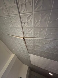 Falling ceiling