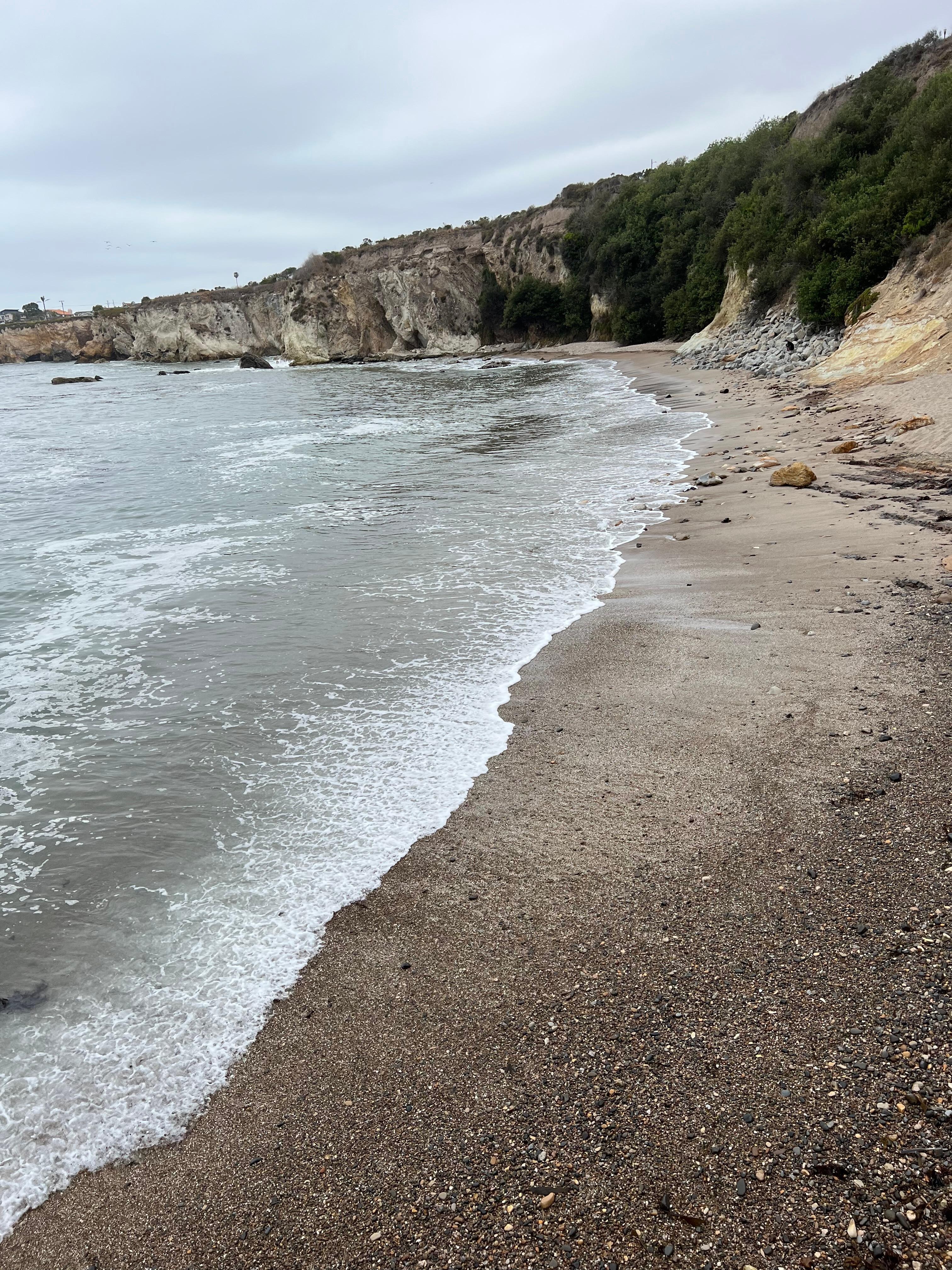 Beach cove 