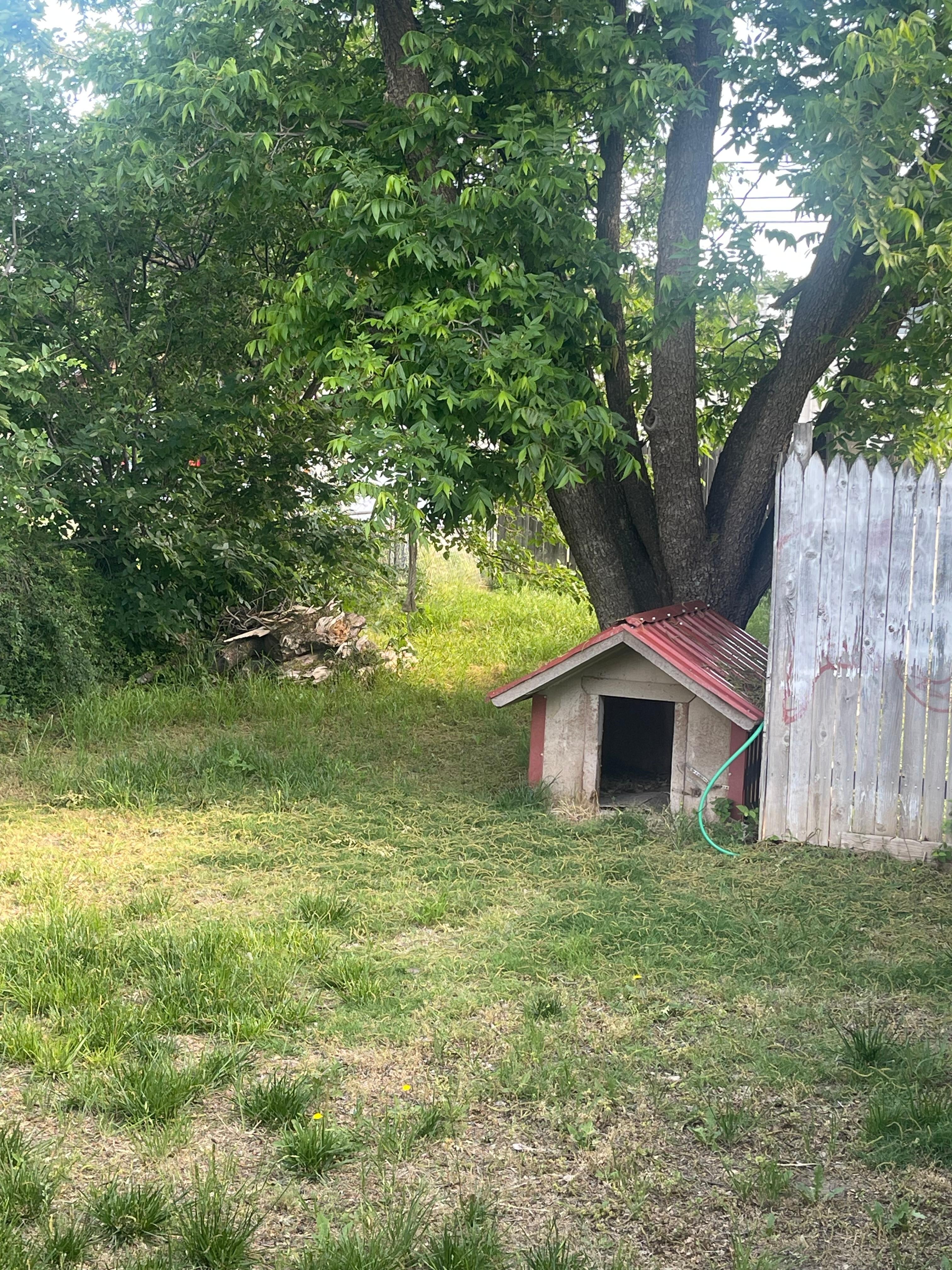 Back yard was unkept and no grill in sight. 